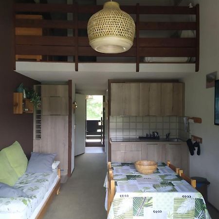 Duplex 3 Pieces. Pieds Des Pistes Et Balcon! Lejlighed Gresse-en-Vercors Eksteriør billede