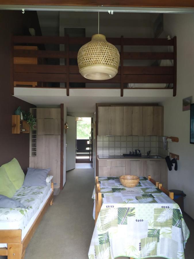 Duplex 3 Pieces. Pieds Des Pistes Et Balcon! Lejlighed Gresse-en-Vercors Eksteriør billede